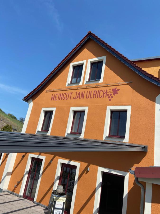 Отель Weingut Jan Ulrich Diesbar-Seusslitz Экстерьер фото